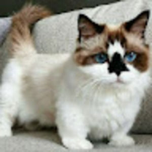 Meet your Posher, Hailey